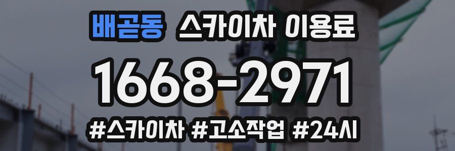 배곧동 스카이차 이용료