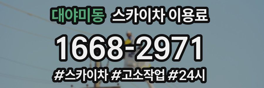대야미동 스카이차 이용료