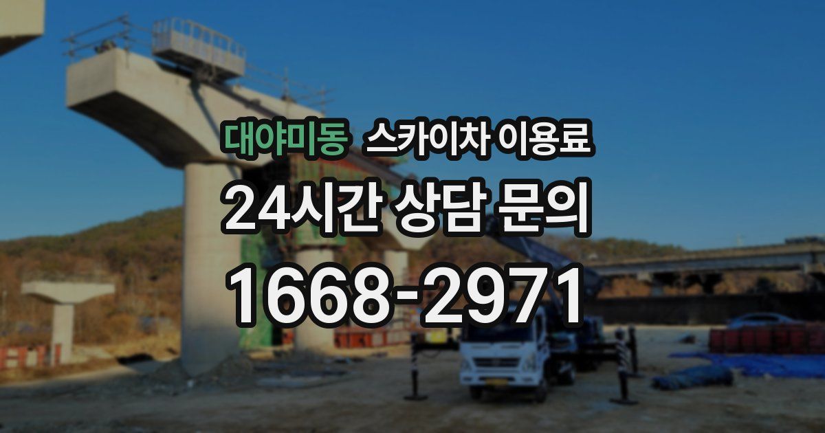 대야미동 스카이차 이용료