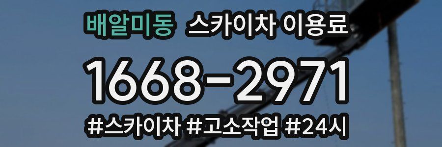 배알미동 스카이차 이용료