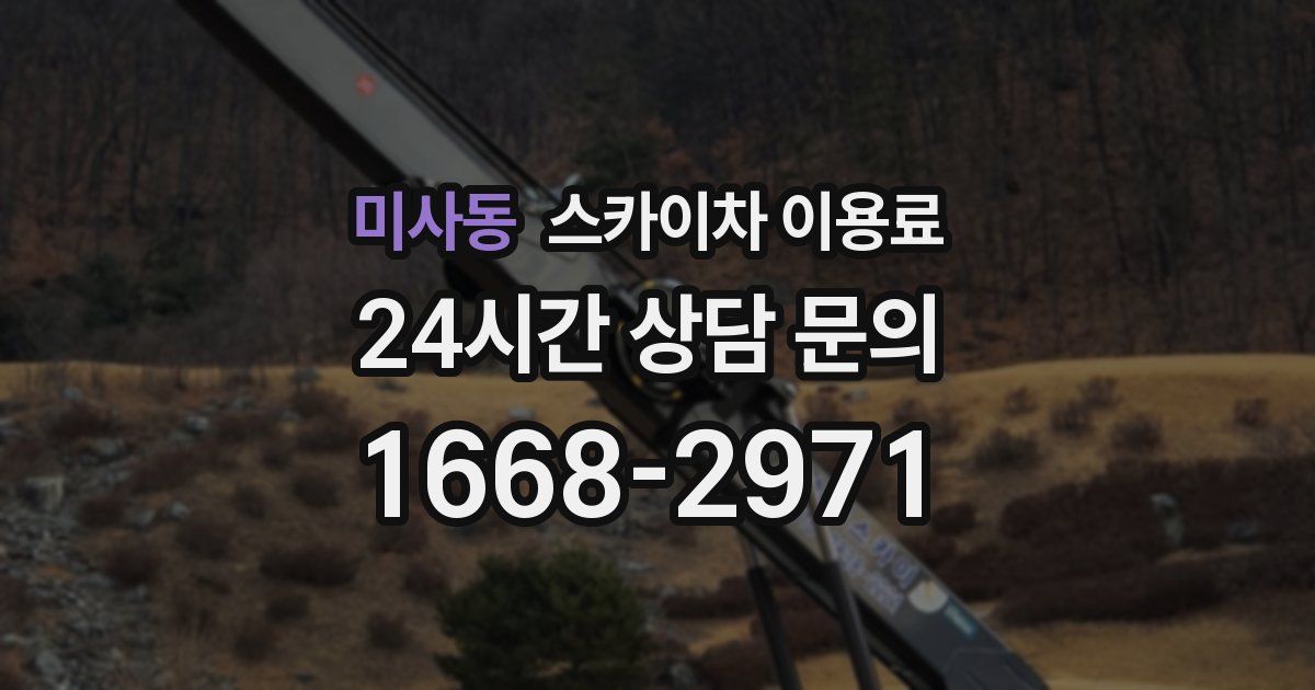미사동 스카이차 이용료