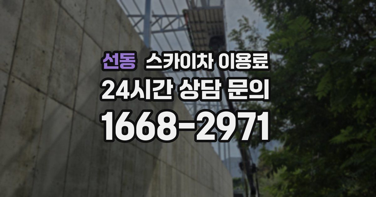 선동 스카이차 이용료