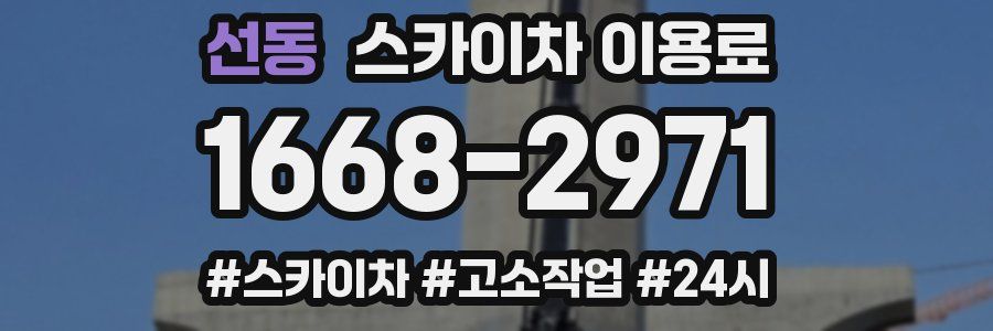 선동 스카이차 이용료