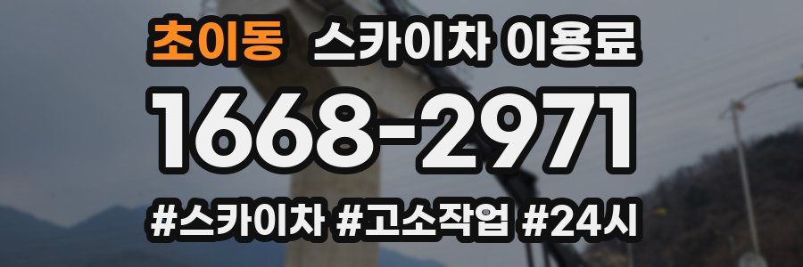 초이동 스카이차 이용료