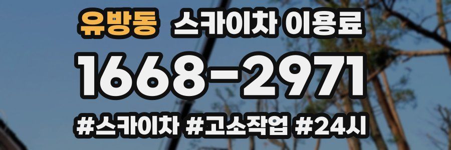유방동 스카이차 이용료