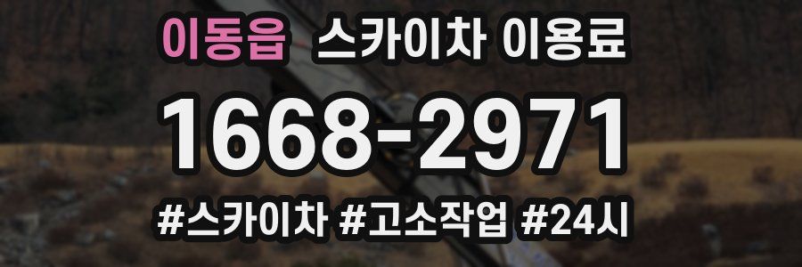 이동읍 스카이차 이용료
