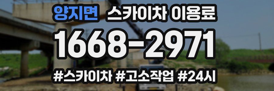 양지면 스카이차 이용료