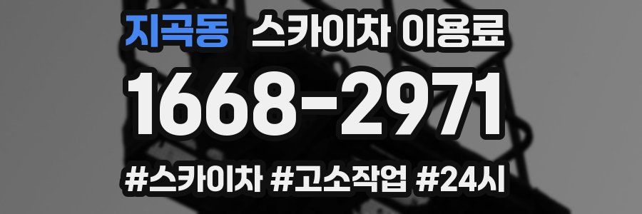 지곡동 스카이차 이용료