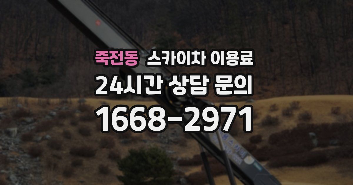 죽전동 스카이차 이용료