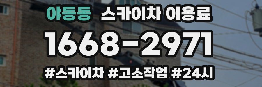 야동동 스카이차 이용료