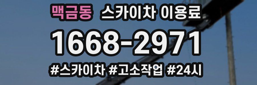 맥금동 스카이차 이용료
