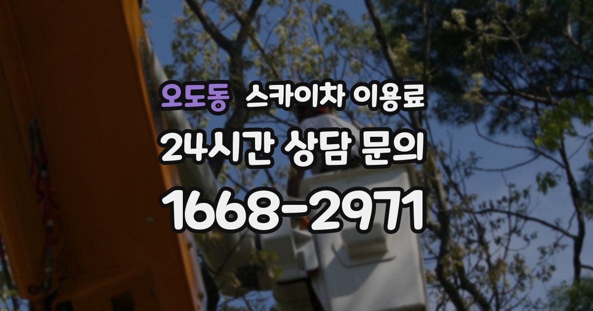 오도동 스카이차 이용료