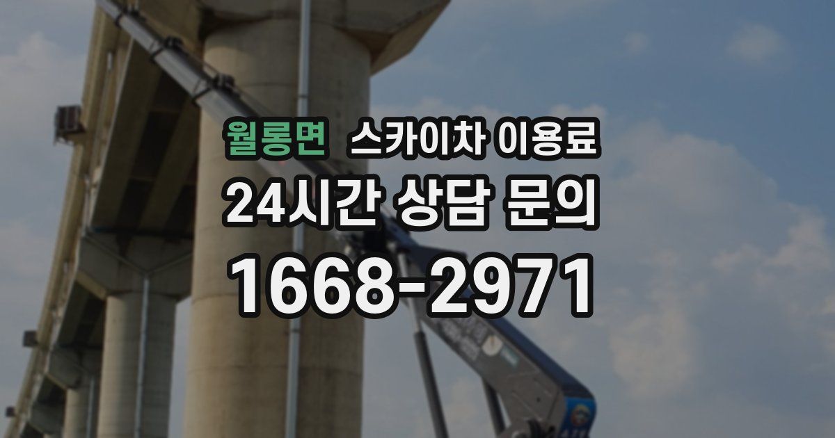 월롱면 스카이차 이용료