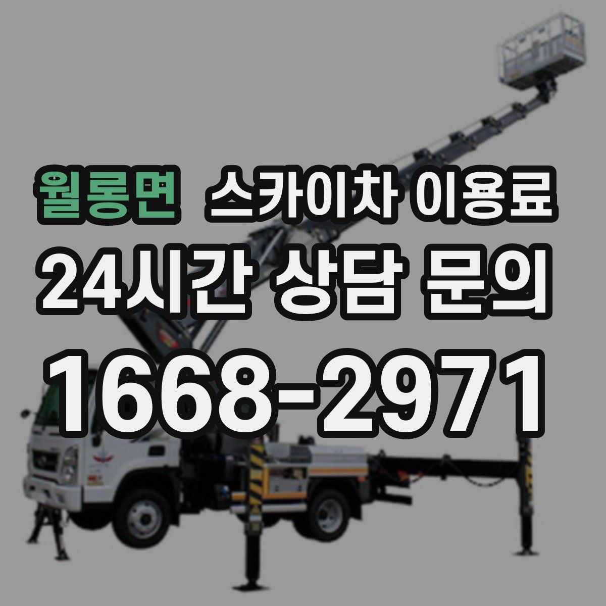 월롱면 스카이차 이용료