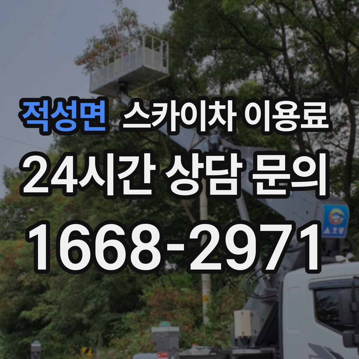적성면 스카이차 이용료