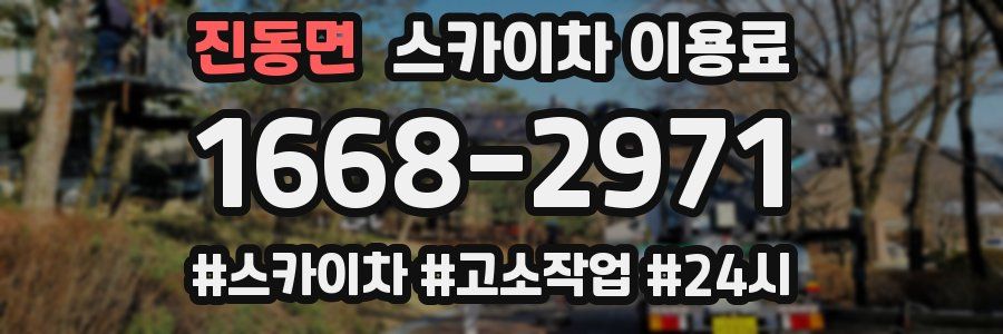 진동면 스카이차 이용료