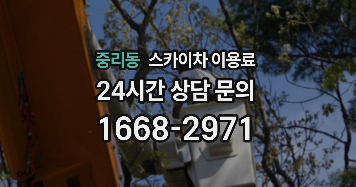 중리동 스카이차 이용료