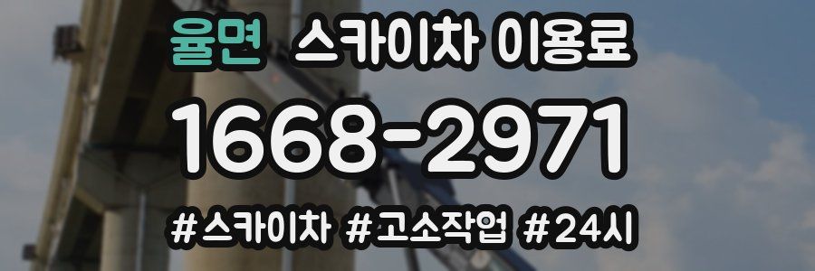 율면 스카이차 이용료