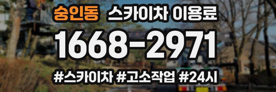 숭인동 스카이차 이용료