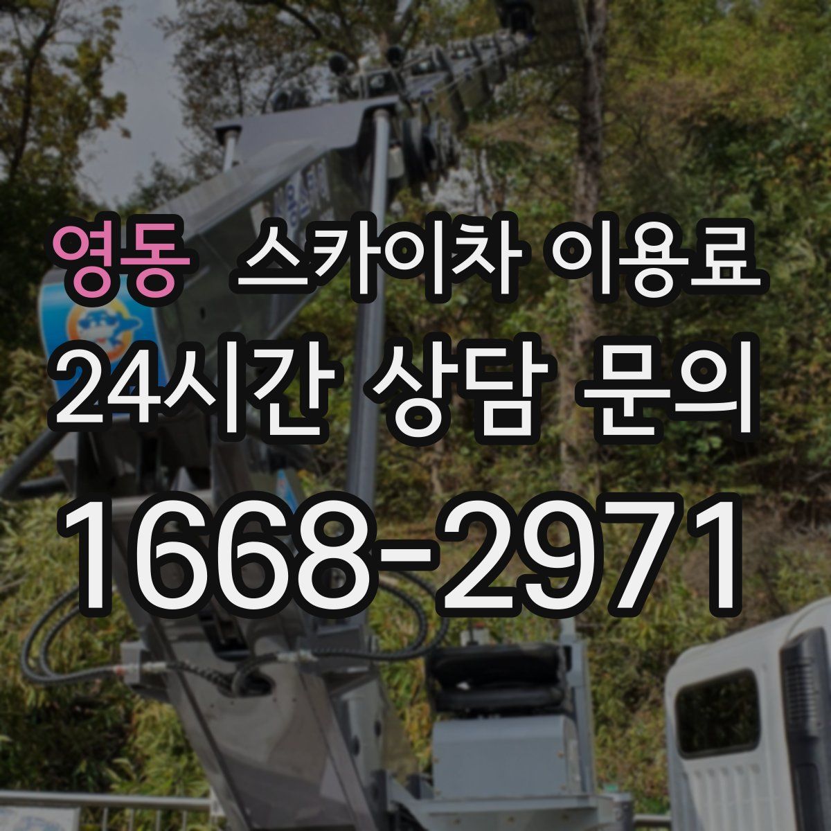 영동 스카이차 이용료