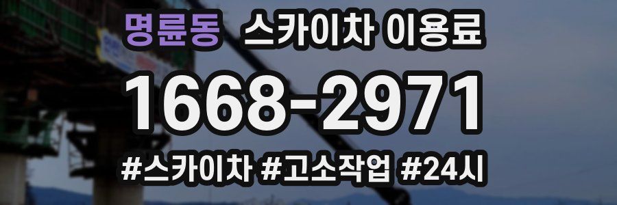 명륜동 스카이차 이용료