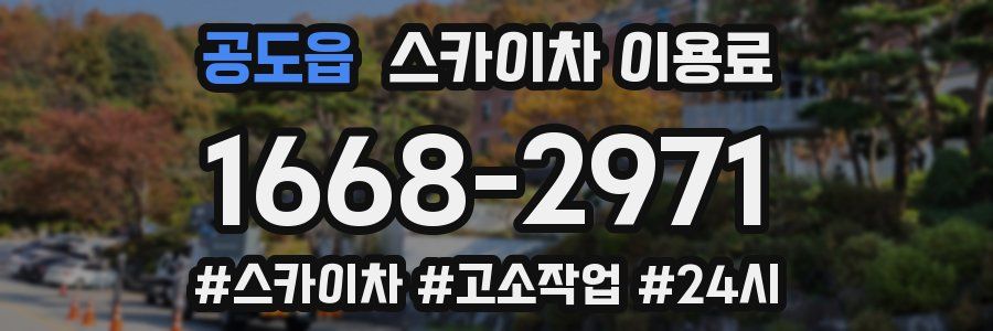 공도읍 스카이차 이용료