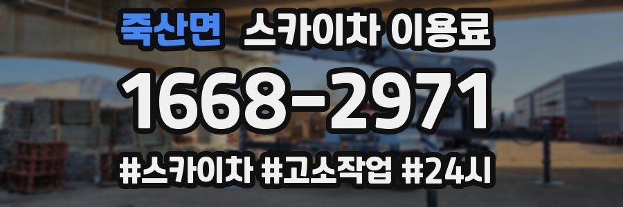 죽산면 스카이차 이용료