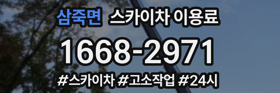 삼죽면 스카이차 이용료