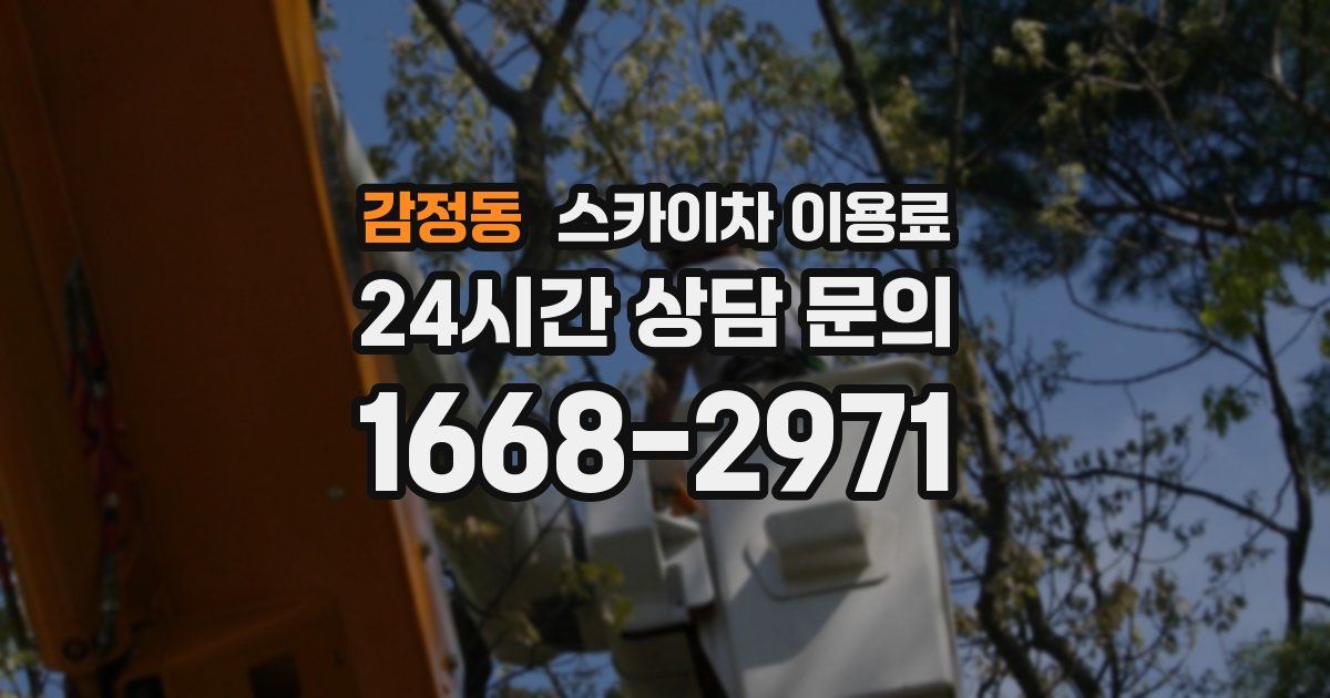 감정동 스카이차 이용료
