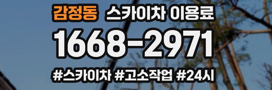 감정동 스카이차 이용료