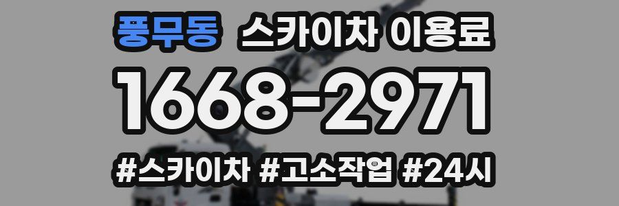풍무동 스카이차 이용료