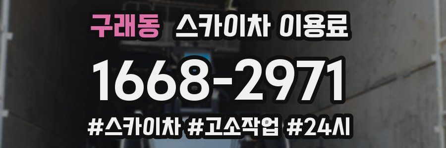 구래동 스카이차 이용료