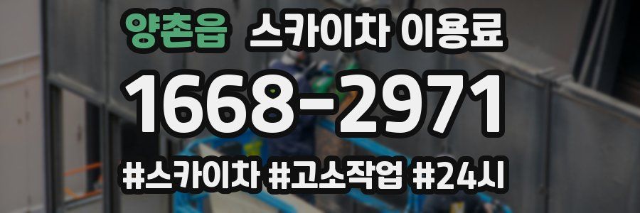 양촌읍 스카이차 이용료