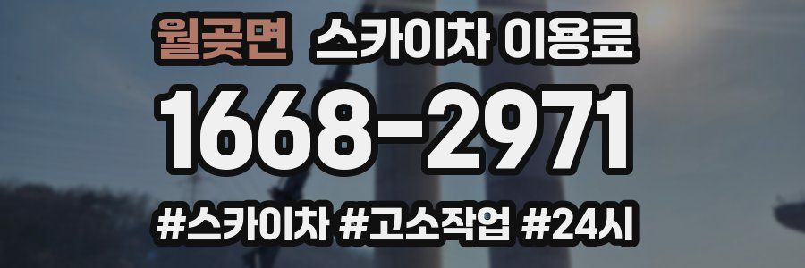 월곶면 스카이차 이용료