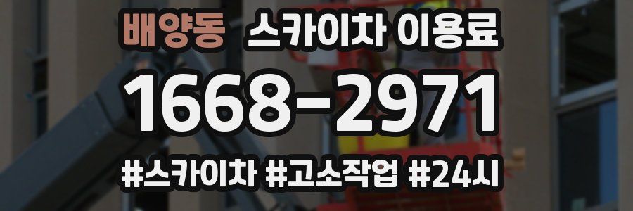 배양동 스카이차 이용료