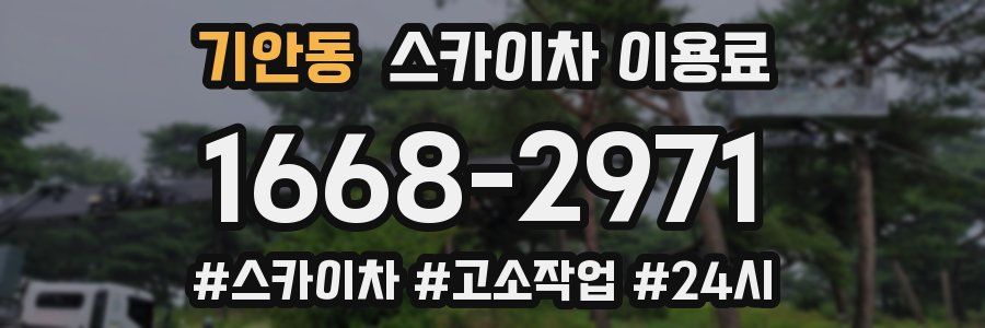 기안동 스카이차 이용료