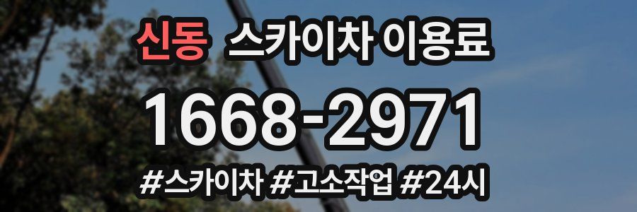 신동 스카이차 이용료