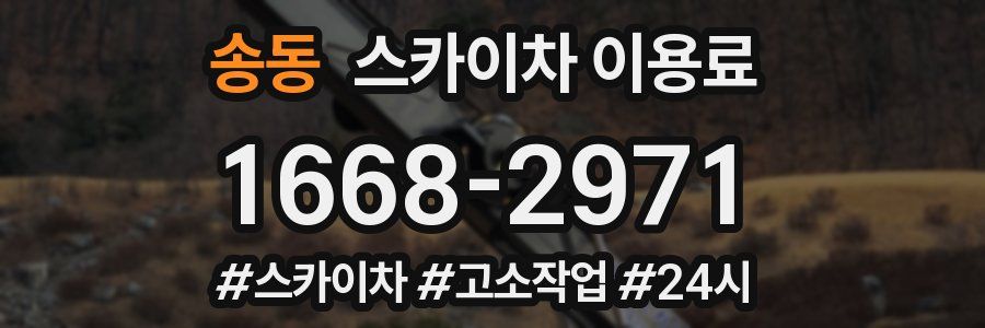 송동 스카이차 이용료