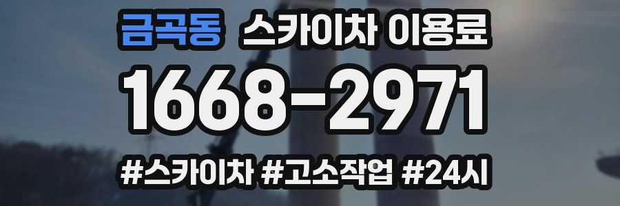 금곡동 스카이차 이용료