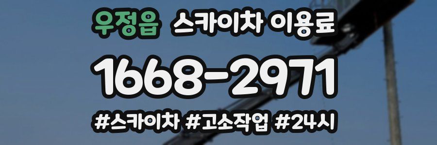 우정읍 스카이차 이용료