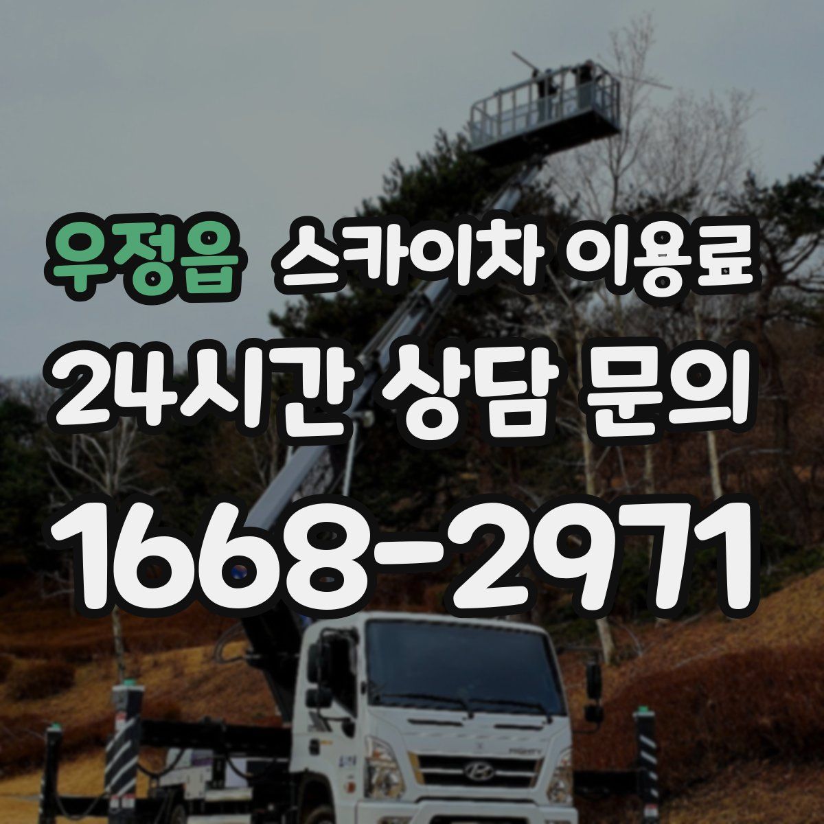 우정읍 스카이차 이용료
