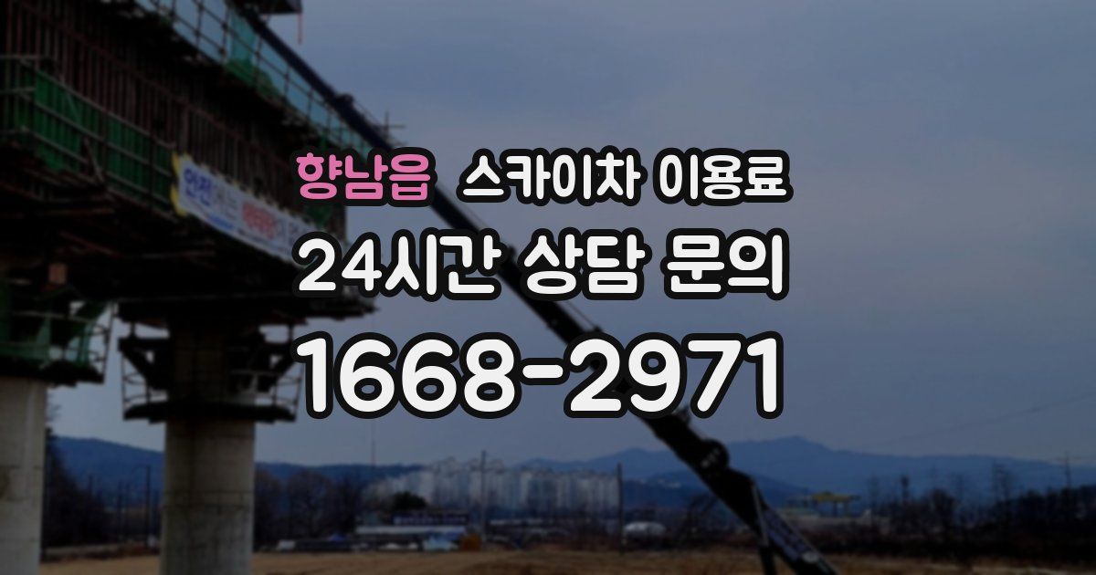 향남읍 스카이차 이용료
