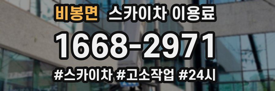 비봉면 스카이차 이용료