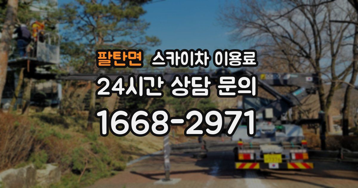 팔탄면 스카이차 이용료