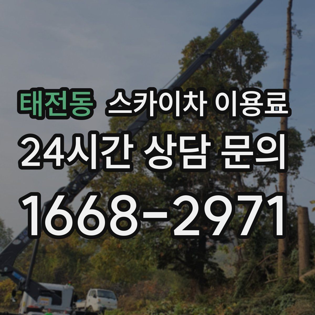 태전동 스카이차 이용료