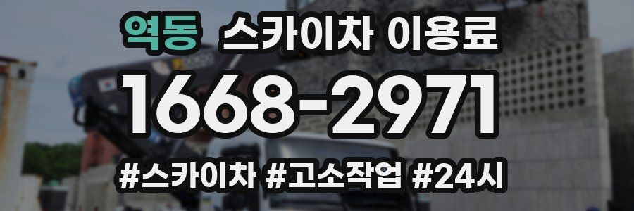 역동 스카이차 이용료