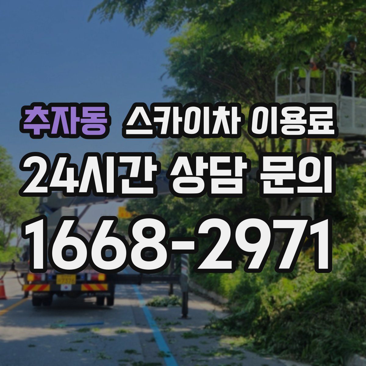 추자동 스카이차 이용료