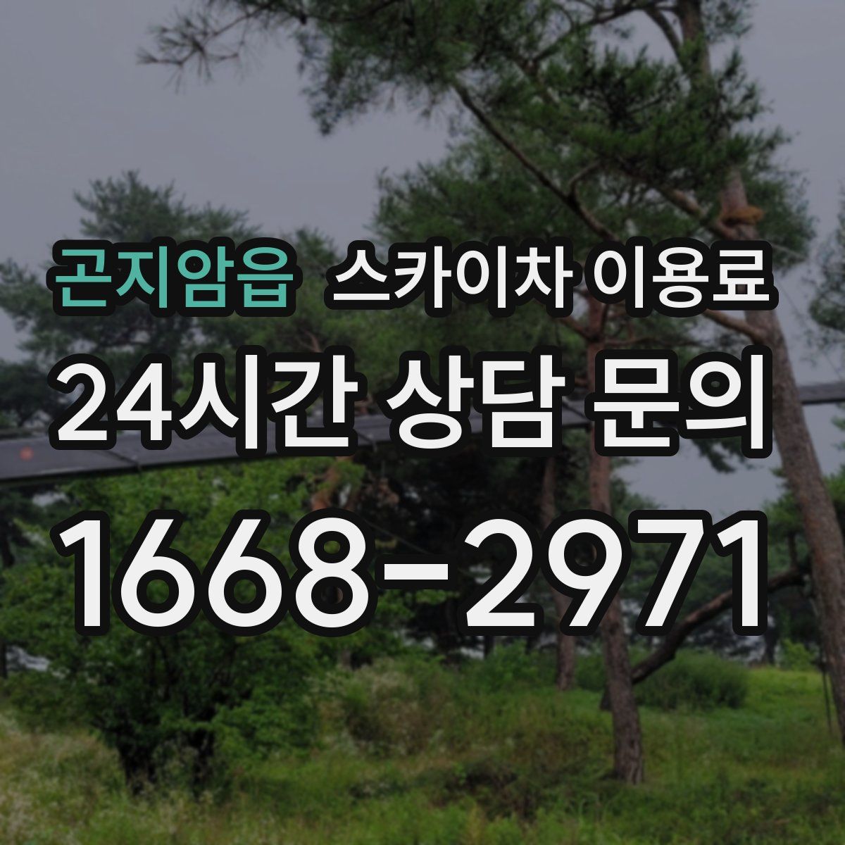 곤지암읍 스카이차 이용료