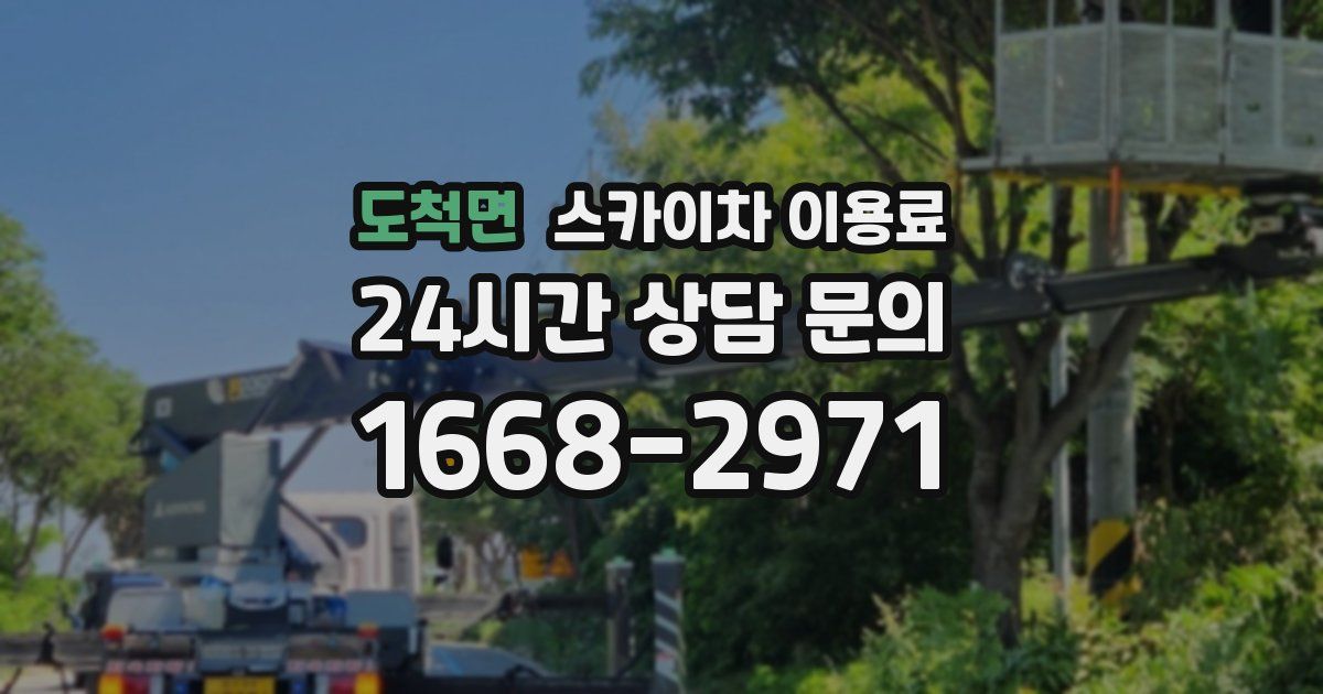 도척면 스카이차 이용료
