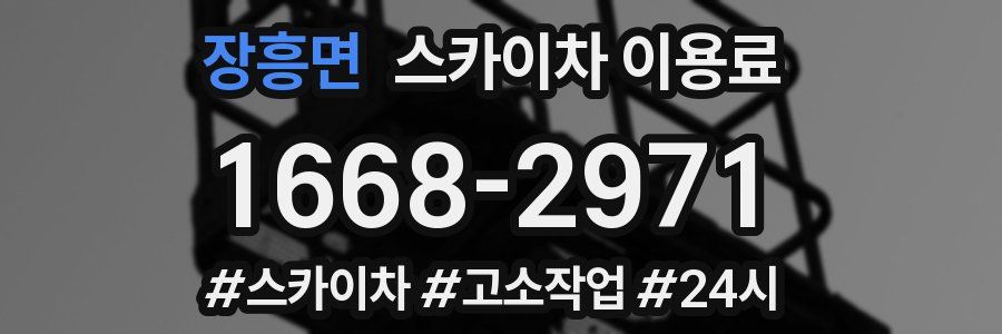 장흥면 스카이차 이용료
